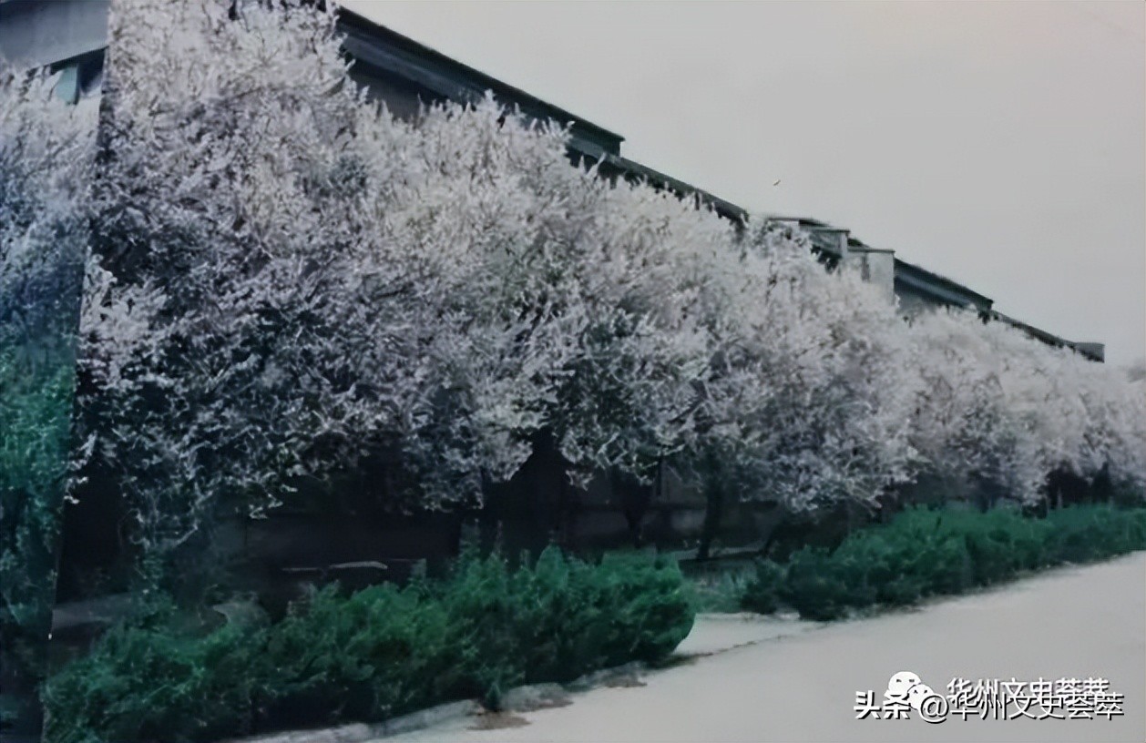 华县红岭机械厂,陕西华县红岭机械厂