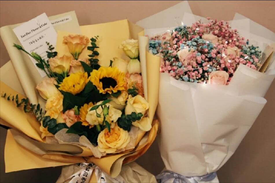 龟仙的故事,龟仙会看什么