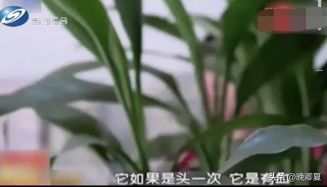 父亲侵害继女，母亲却浑然不知，这是重组家庭的悲哀，谁能懂