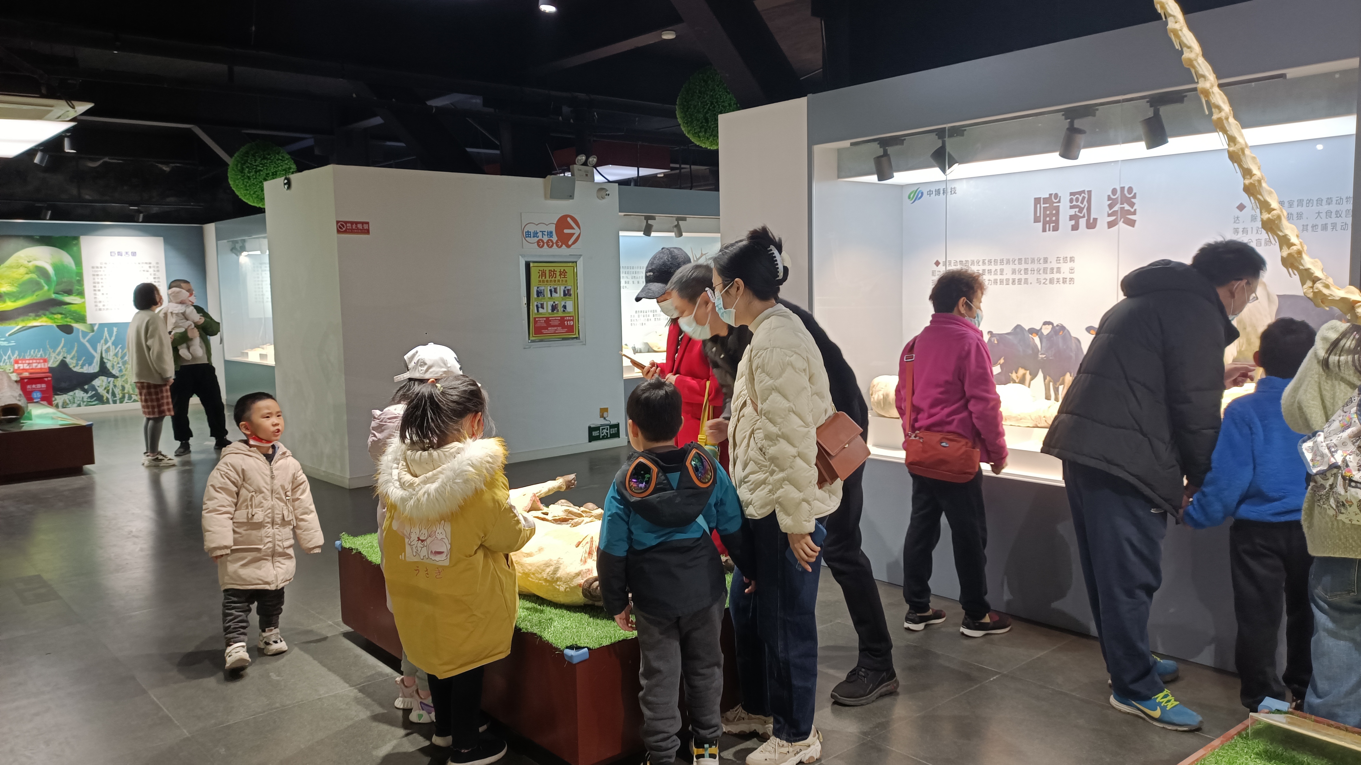 郑州周边适合带孩子一日游的地方,郑州游玩好去处一日游孩子