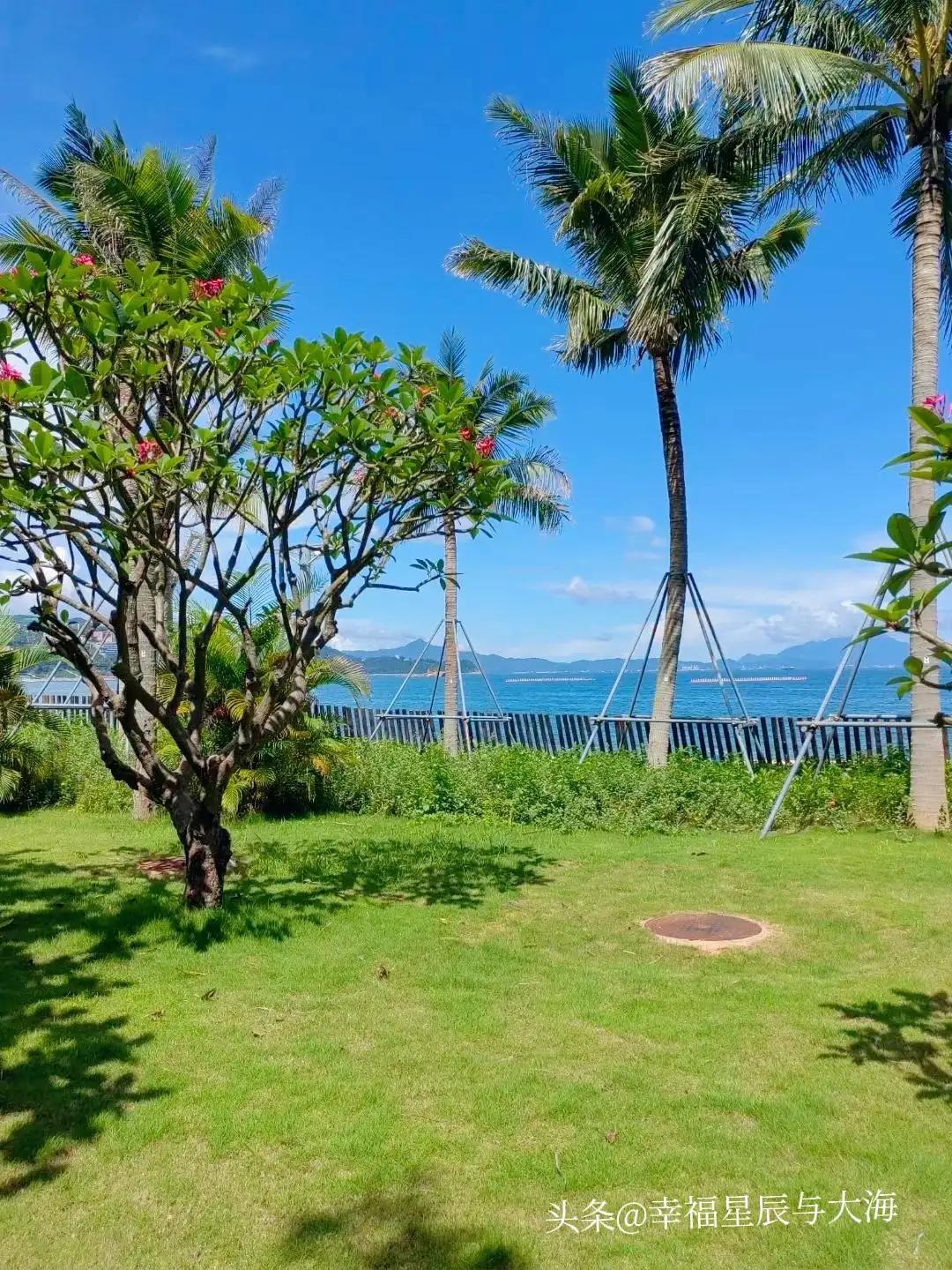 大梅沙海滨公园一日游,深圳大梅沙海滨公园旅游景区