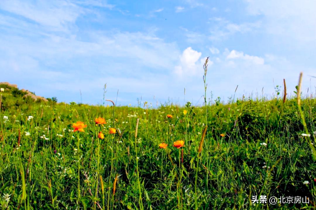 房山旅游一日游景点推荐,房山旅游攻略及景点介绍三日游