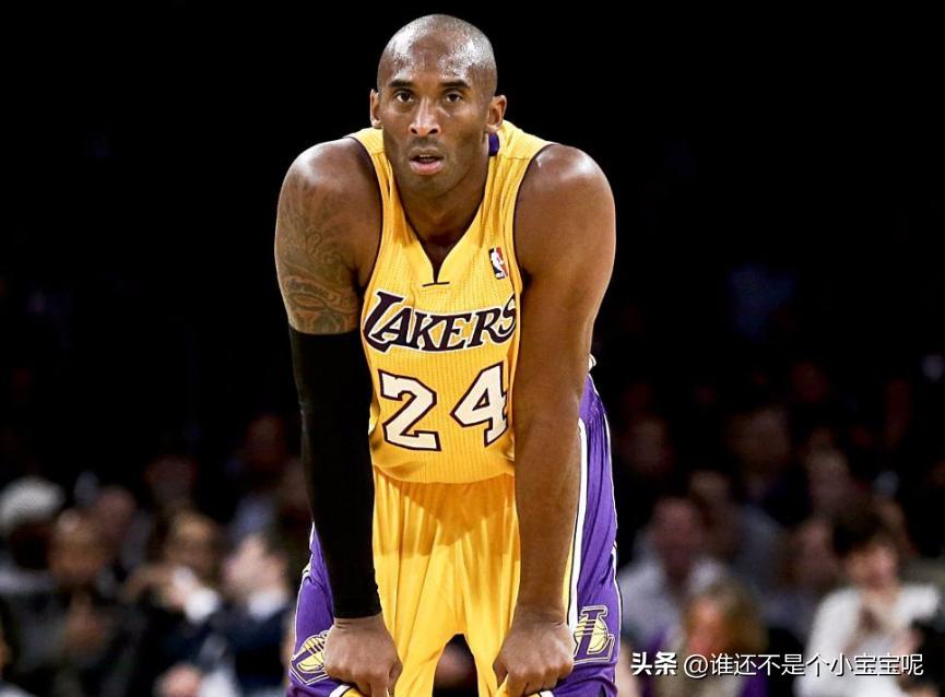 每天认识一只大熊猫和花,每天认识一支大熊猫