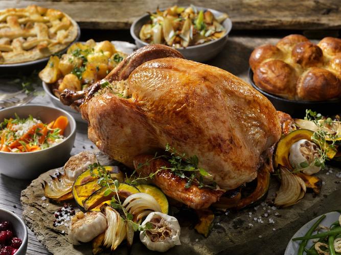 冷知识土耳其地震,土耳其冷知识