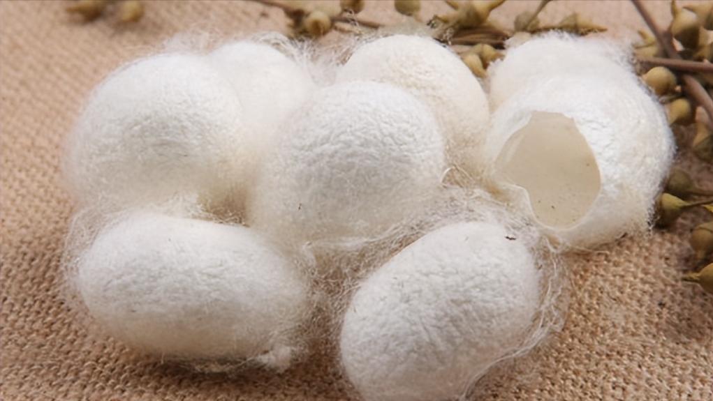 安县魔芋、平武果梅……四川绵阳的地标农产品个个都很赞