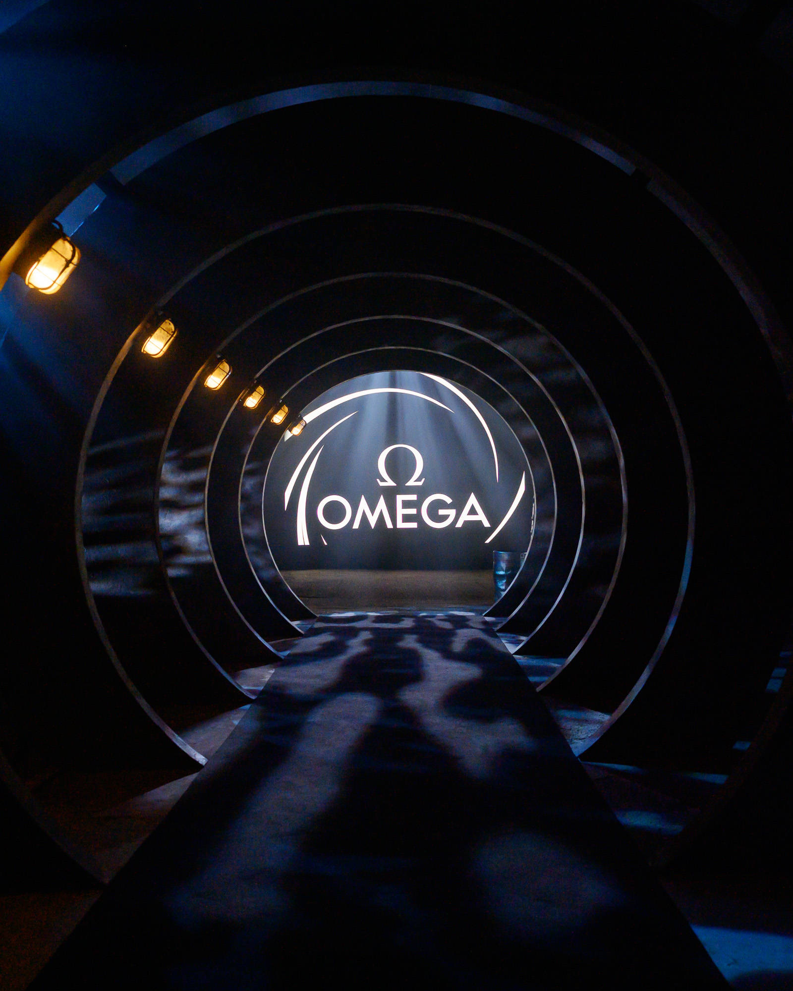 湾区羙好生活周报｜星语祝福，十二月新愿季