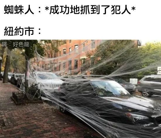 这摄影师是个抓拍鬼才|冷段子2068