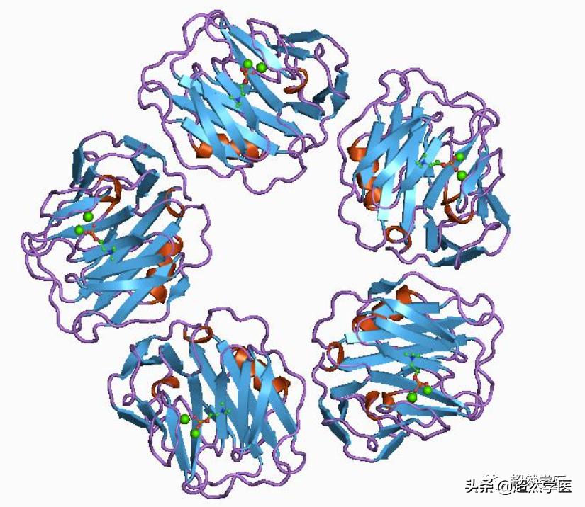 急诊crp检验报告一般要多久可以取,急诊c反应蛋白测定高是什么意思