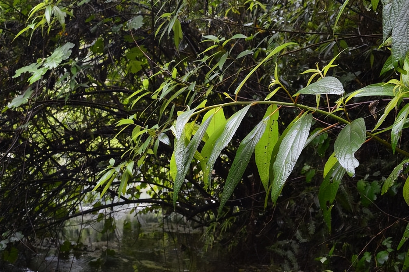 宣恩一座小城,湖北宣恩美丽的小城