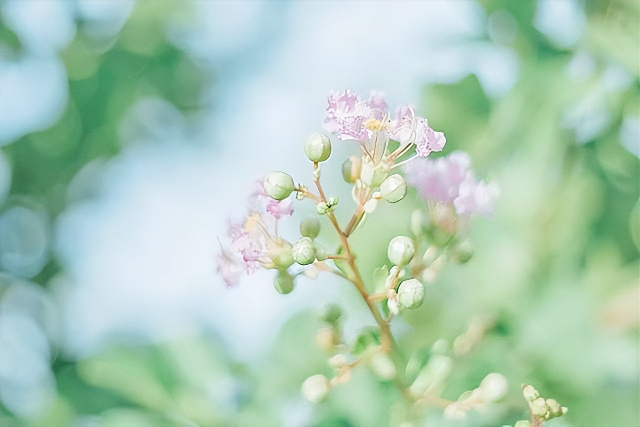 在亲人临终前你是什么心态,亲人去世后会以另一种方式陪伴你