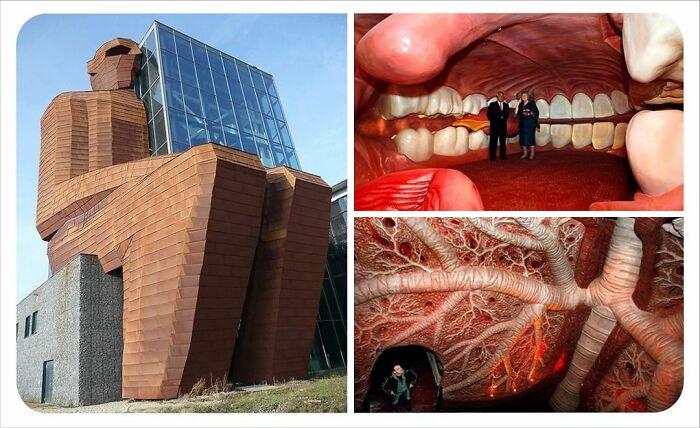 克林顿布什奥巴马合影,克林顿希拉里老照片