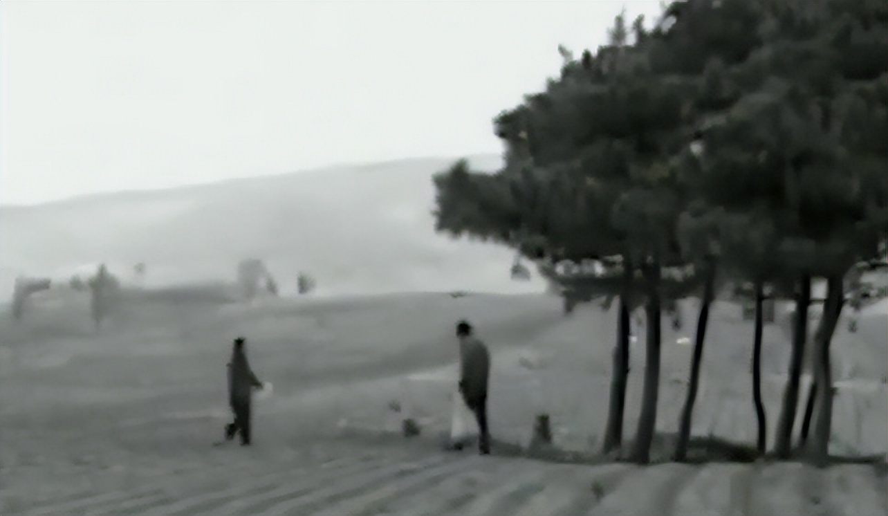 吉林农妇救了一条蛇,吉林农妇救毒蛇同吃同住12年