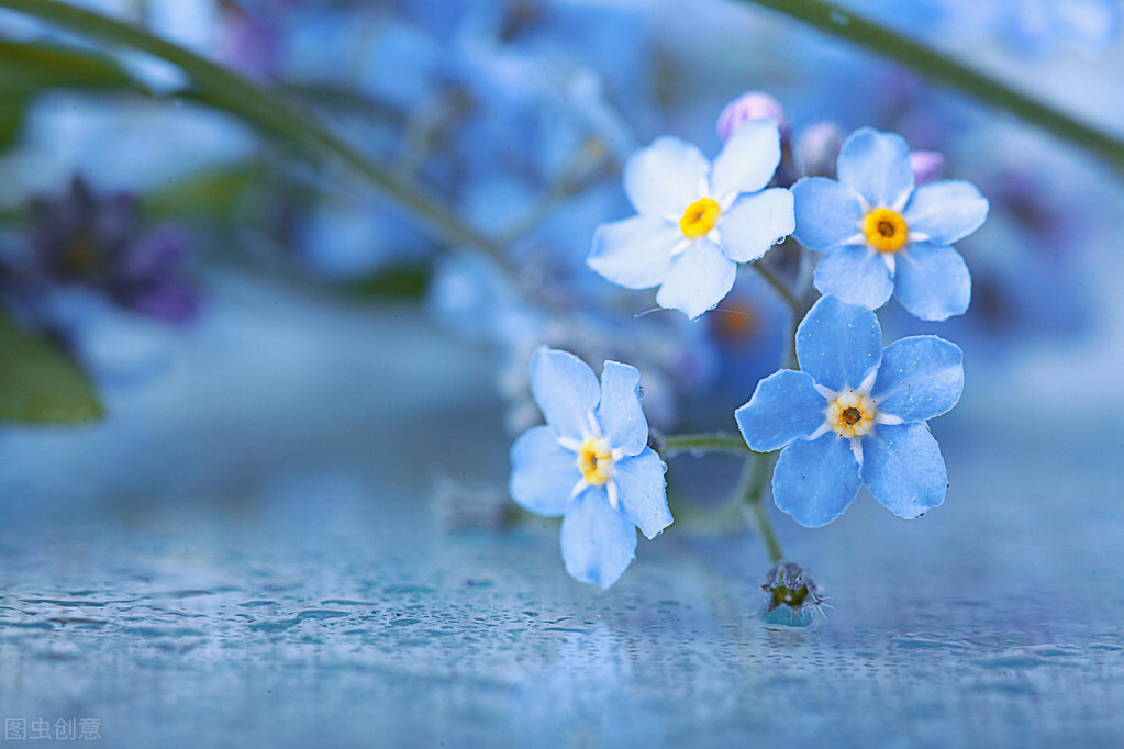 怎么去探望病危重的亲人,家里老人病危该做什么