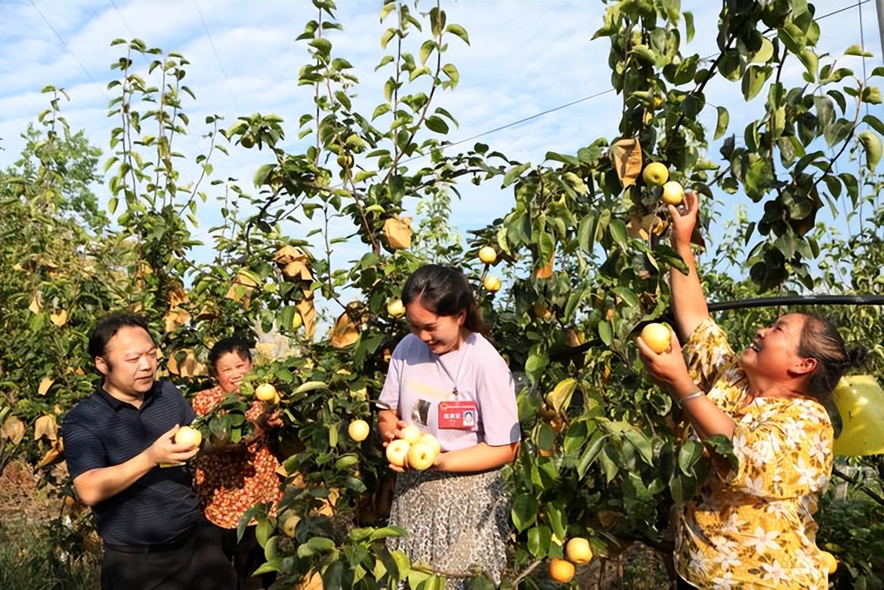 辛巴打造品控体系严审产品质量,永川人大代表变身劳工助农解民忧