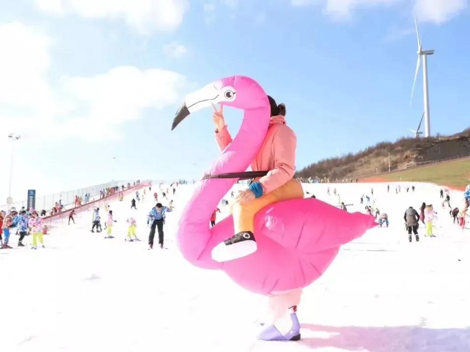 武汉周边滑雪场排名,武汉九峰山滑雪场开放时间