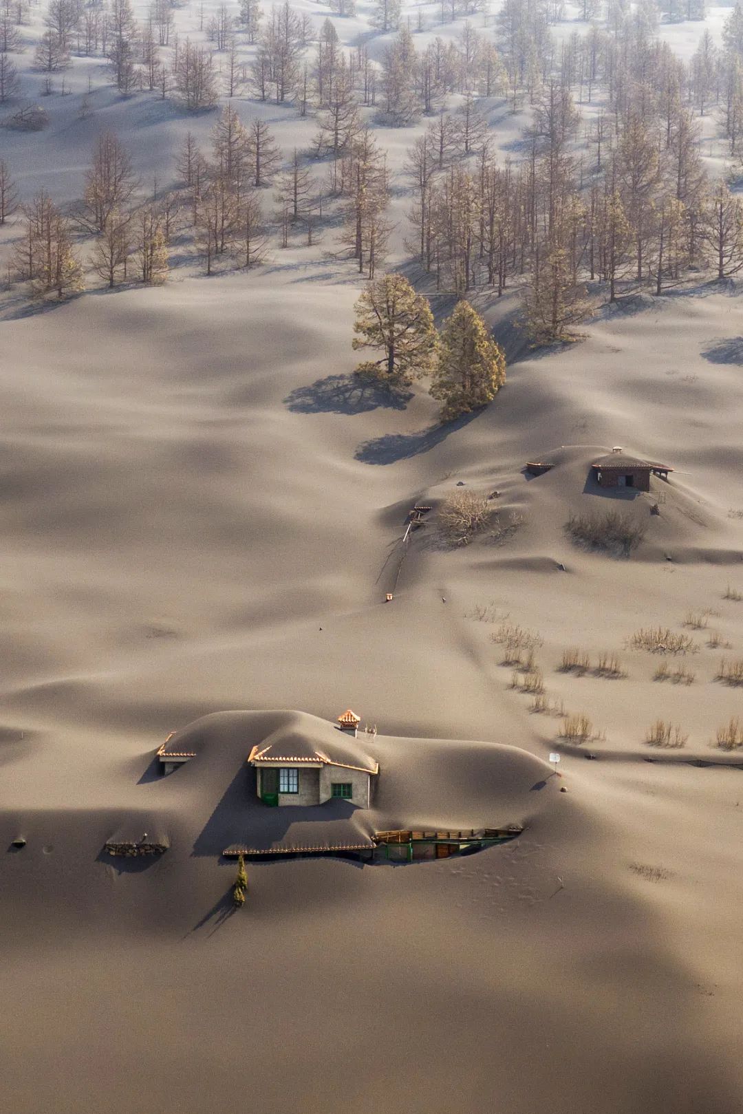 圣山龙脉,龙脉圣地黄帝陵