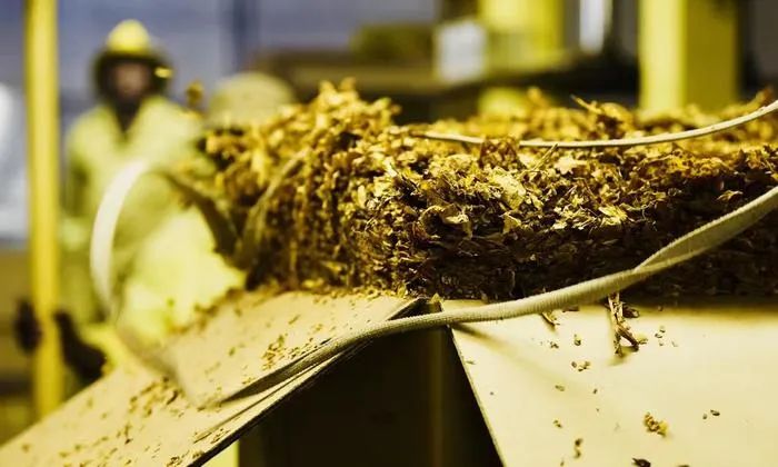 福建云霄县生产假烟的哪个镇最多,福建哪个地方造假烟比较出名