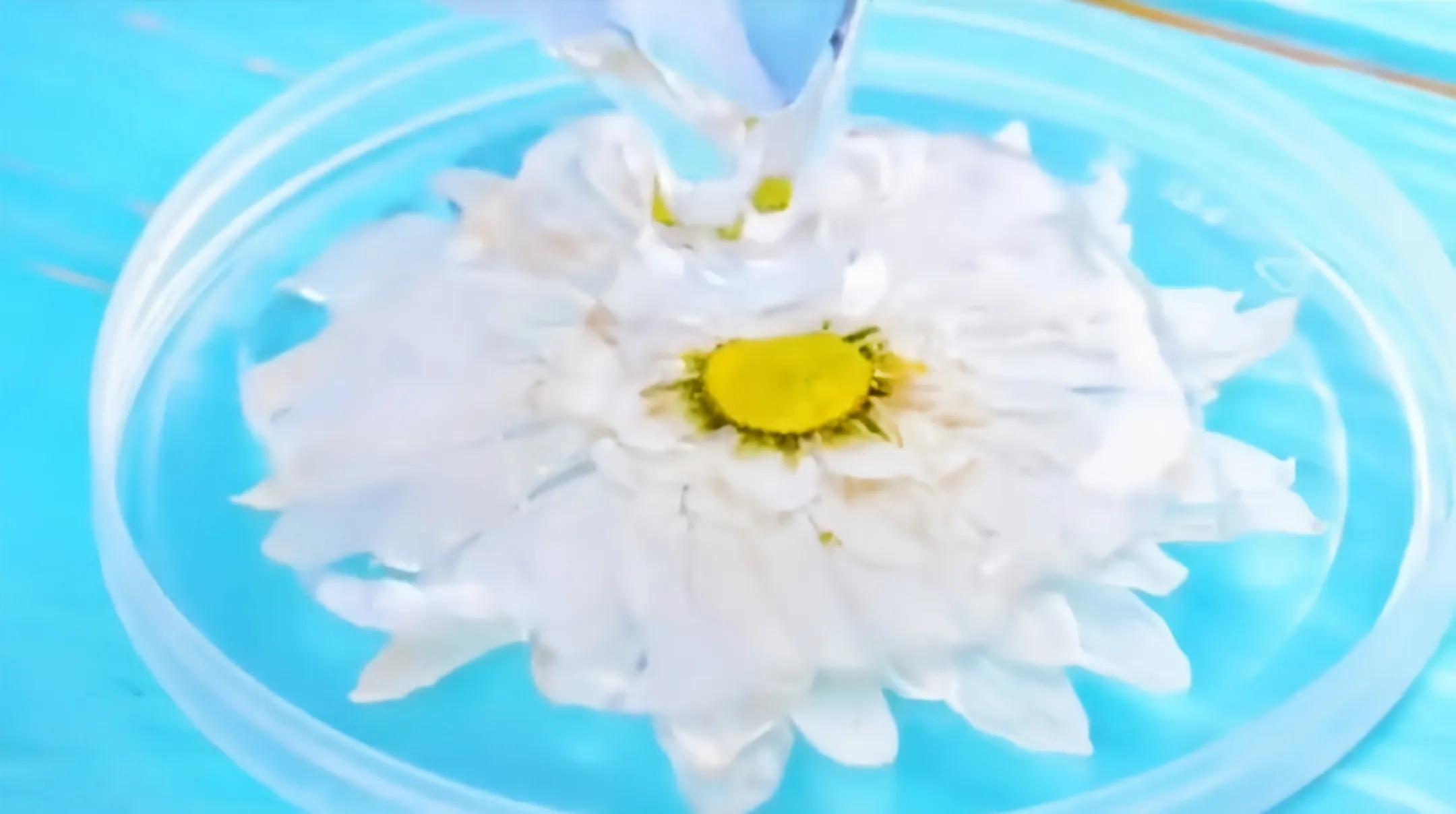 有什么方法可以快速清洁百叶窗,百叶窗油渍清理妙招