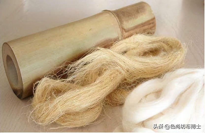 竹浆纤维用途,竹浆纤维介绍