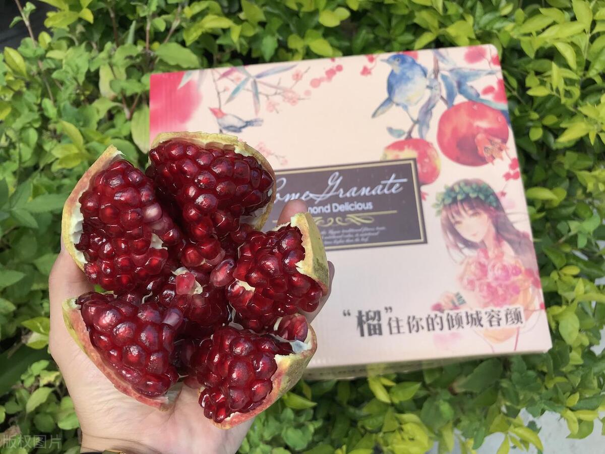 当代年轻人返乡创业做什么,回村创业什么更容易成功一点