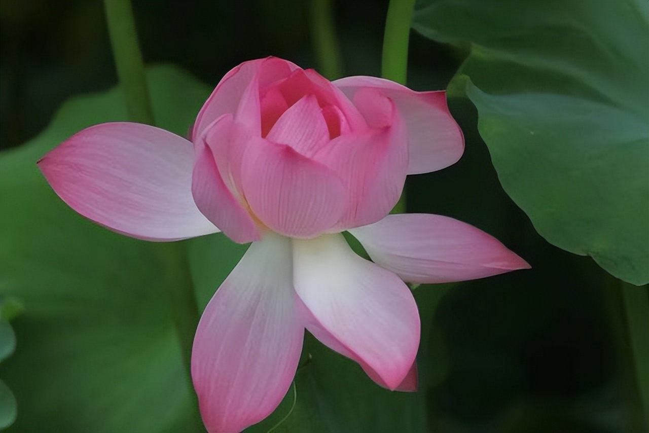 人到中年挣钱是最重要的事,只要放下面子就能赚钱的行业