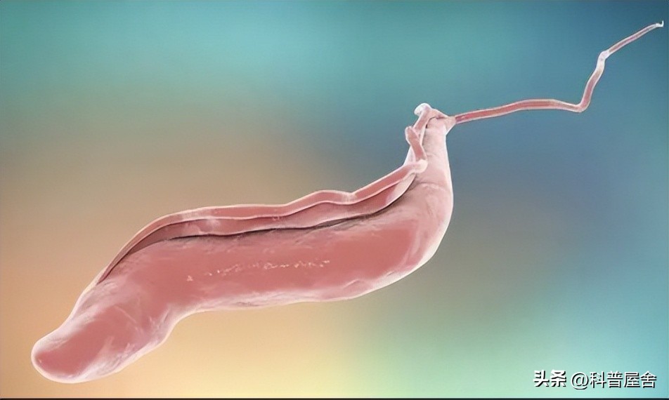 控制大脑的寄生怪物,控制宿主的恐怖生物
