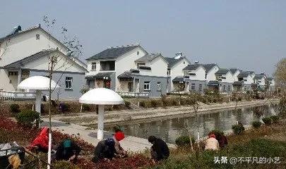 警惕诈骗，被贴膏药后昏倒，特别是农村地区老年人