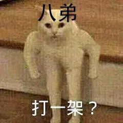 oppoencox2和苹果airpodspro,oppoencox2与airpods