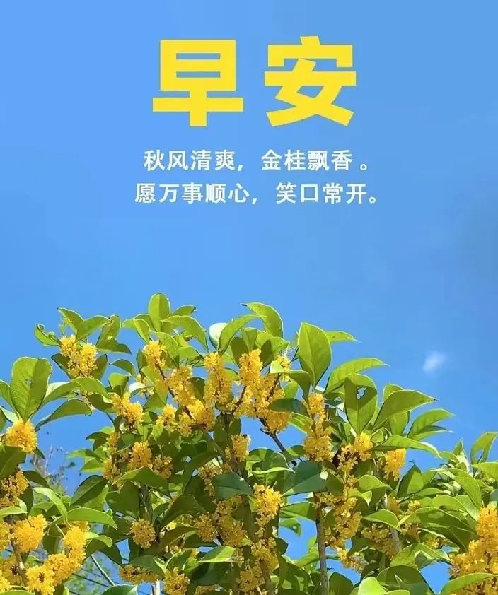 周五问候祝福动态表情图片大全，做一个善良的人，做快乐的自己