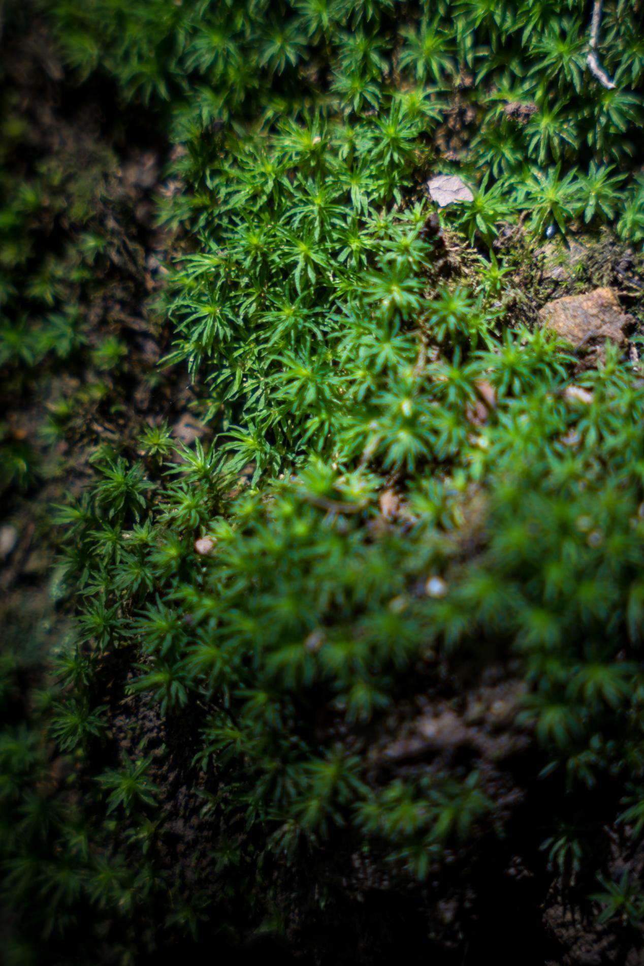 杭州避暑游玩的好地方在哪里,杭州桐庐天子地风景区