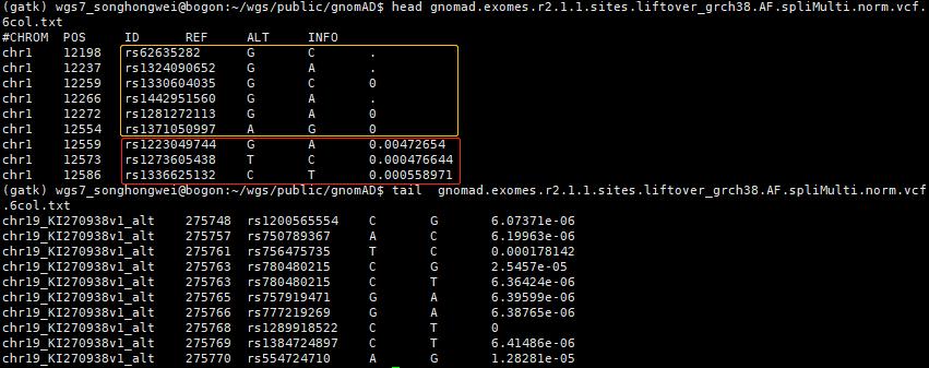 更新|gnomAD人群频率库的*载下**与处理