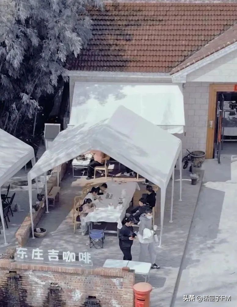 练塘茭白有哪些品种好吃,练塘新鲜茭白