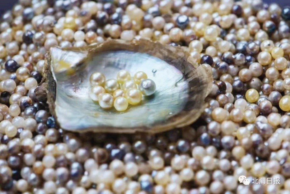 北海的涠洲岛上看海,北海涠洲之恋