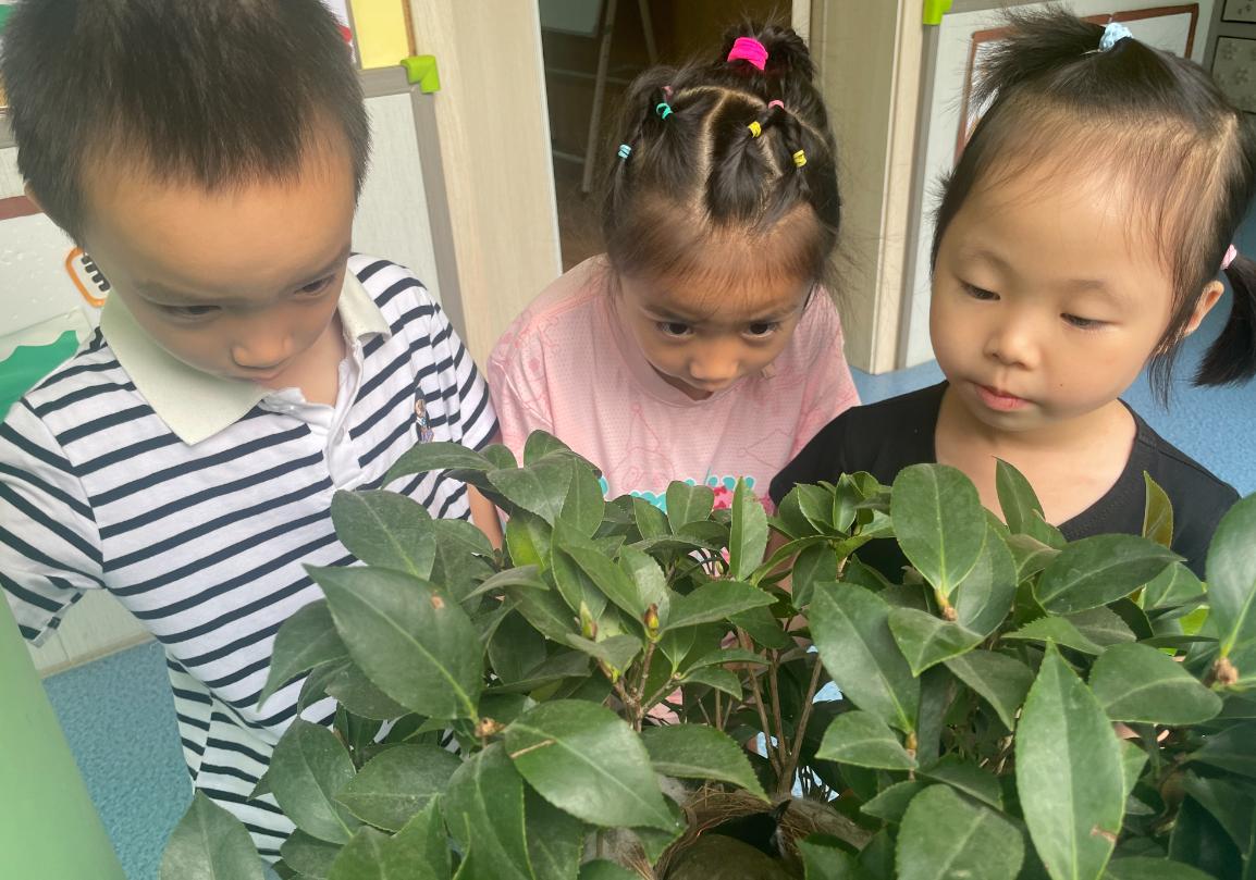 桂林最好的幼儿园,桂林的幼儿园