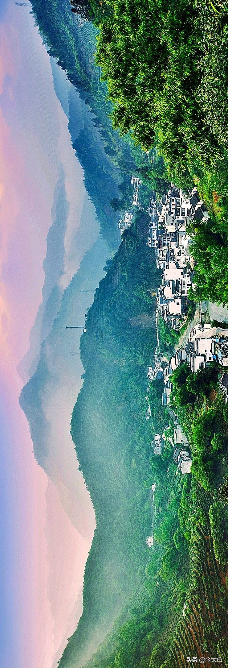 黄山毛峰第一家,黄山毛峰是文化遗产吗