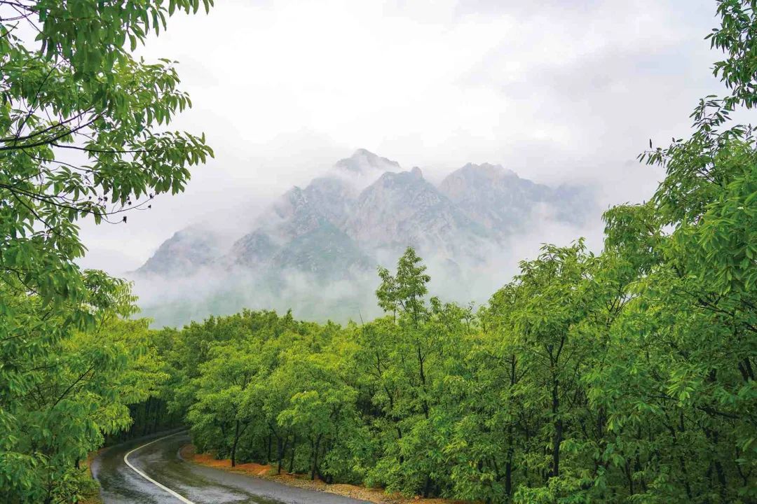 中岳嵩山不解之谜,中岳嵩山有哪些历史价值