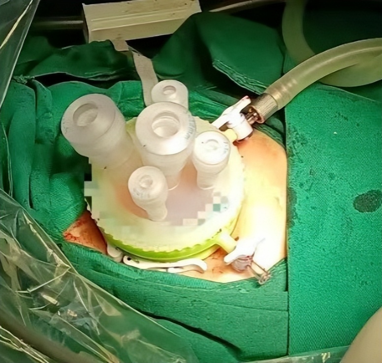 美丽与健康并存,美丽与健康同行视频