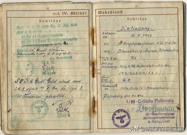 二战时德国军人的肩章,二战德国兵种领章