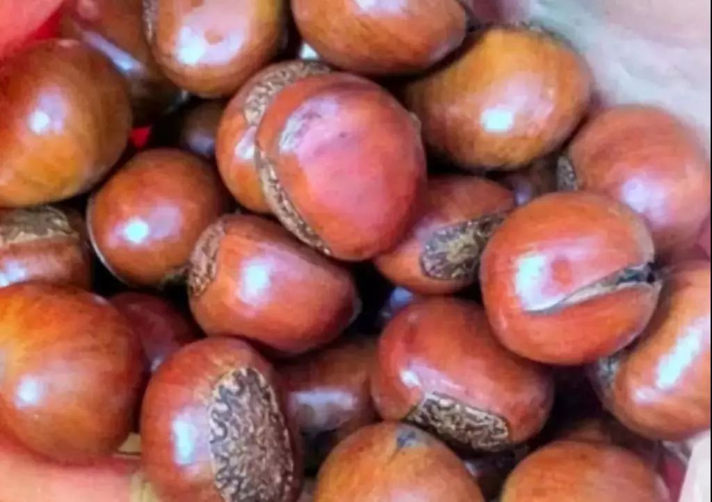 六零空间旅居攻略,六零空间旅游怎么样