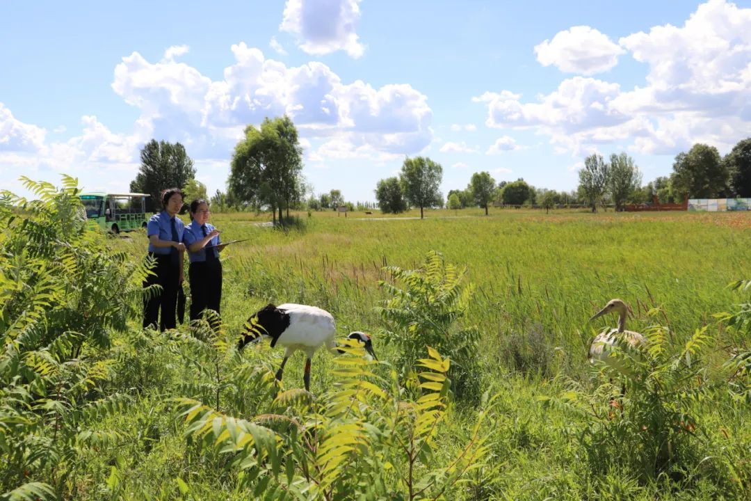 湿地保护公益诉讼典型案例,最高检河道治理公益诉讼典型案例