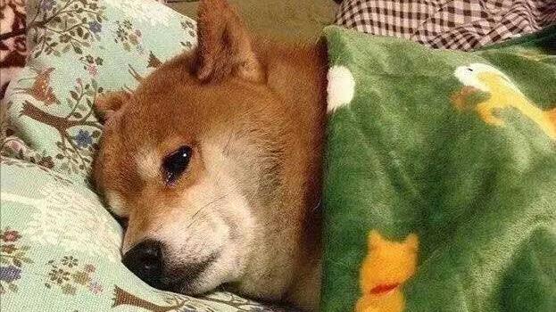 解决便秘即时有效的方法,解决便秘的难言之隐这样做就够了