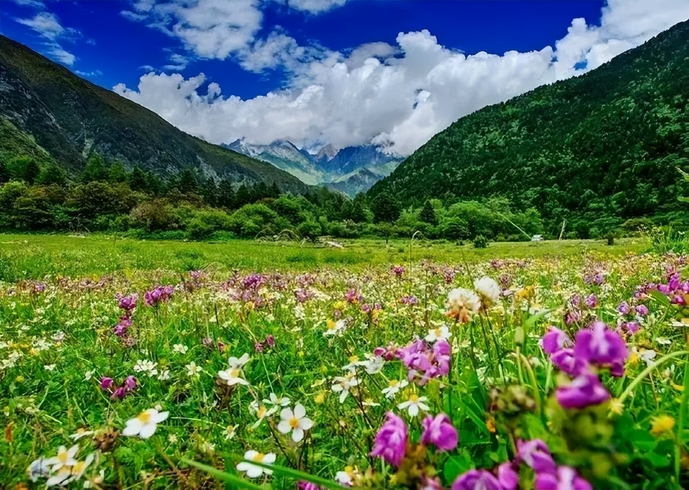 2021年中国旅游日四川景点优惠,四川中国旅游日优惠