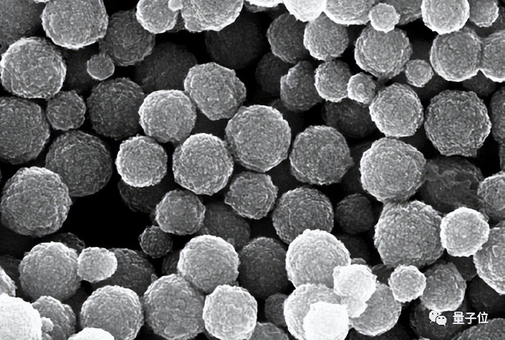 博士学位真的那么重要吗？上交大博士亲述科研心路，获4万高赞