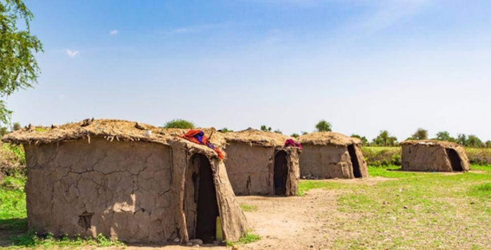 草原之王狮子怕马赛人,狮子怕马赛人还是草原霸主