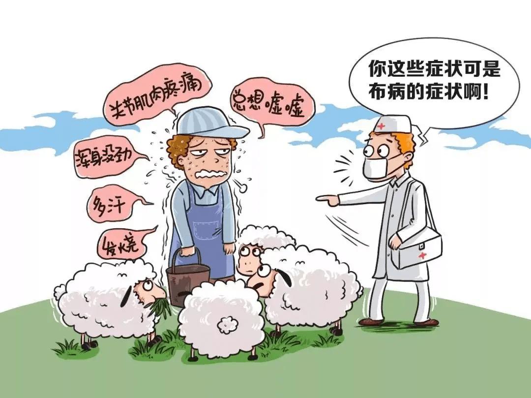 布鲁氏菌病最新治疗方法,布鲁氏菌病防治知识培训总结