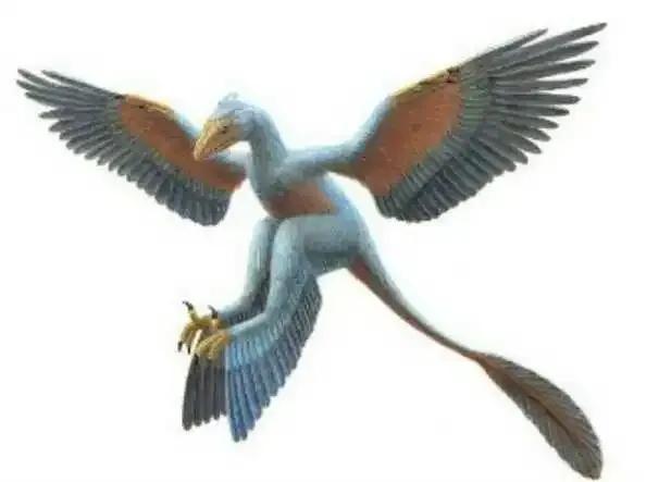 会飞的恐龙分别都是什么样子,会飞的恐龙大全