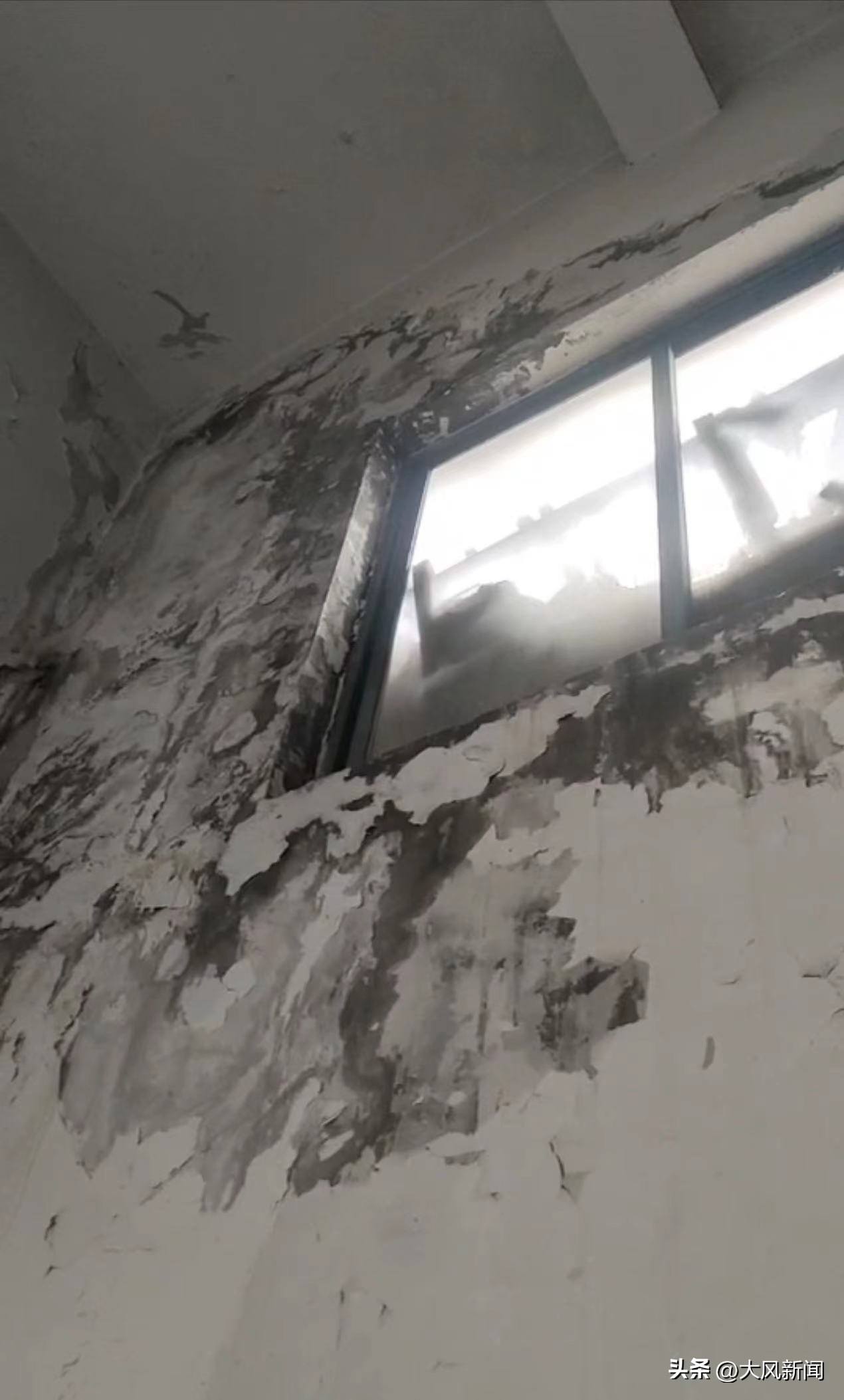 顶层总漏雨被投诉，维修发现楼顶疑为彩钢瓦木板搭建，还有房产证？有关部门回应：能否办房产证要看审批手续