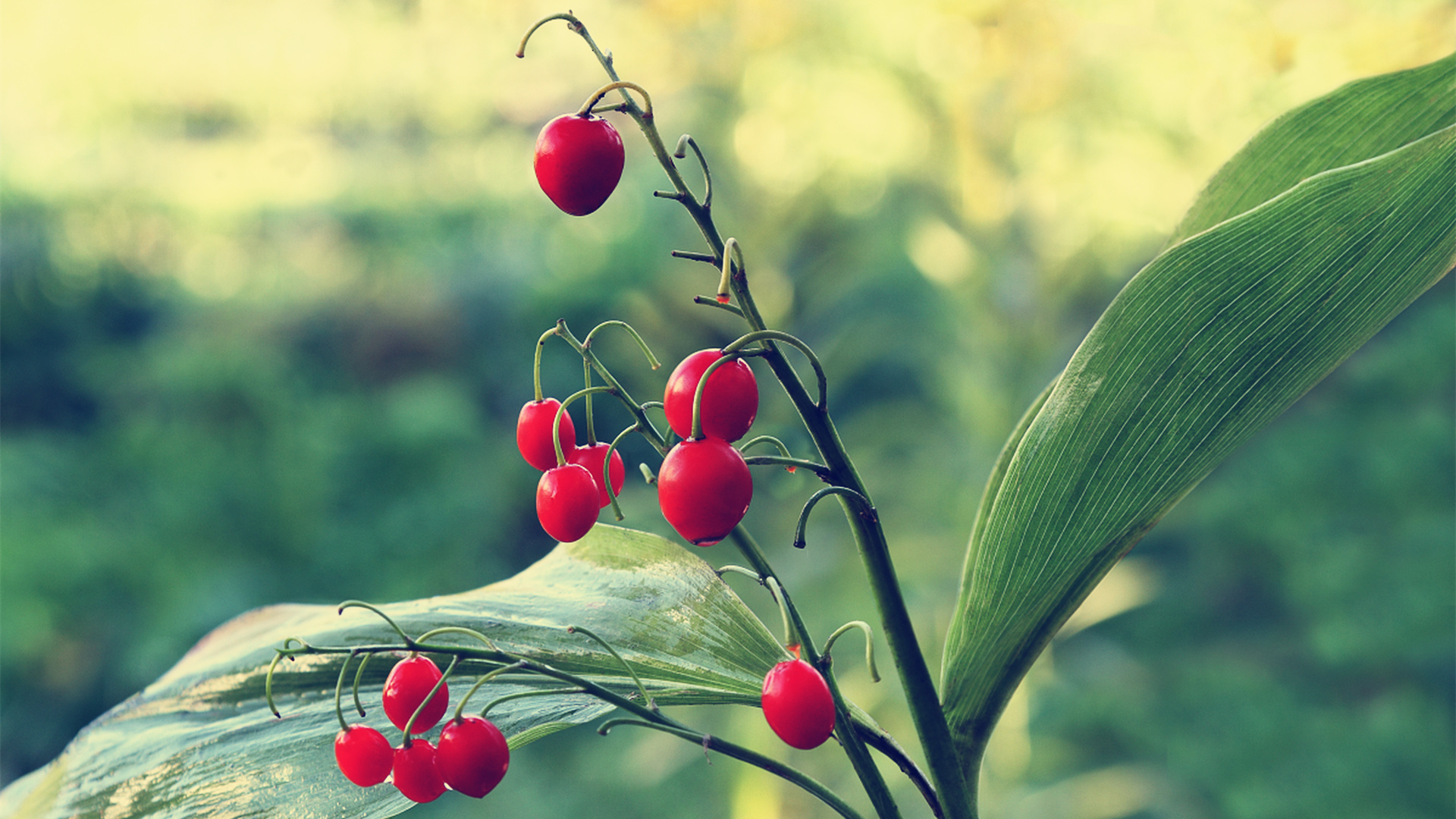 古诗词经典唯美相思,那些很惊艳的古诗词和古代情话