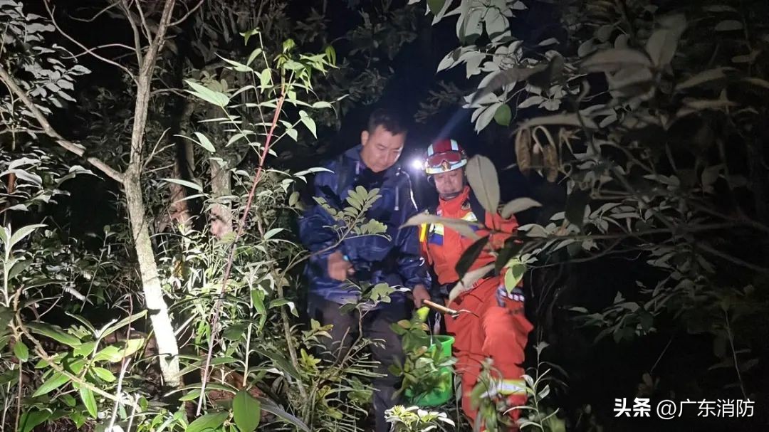 在深山老林捡菌子,夫妻深山捡菌子