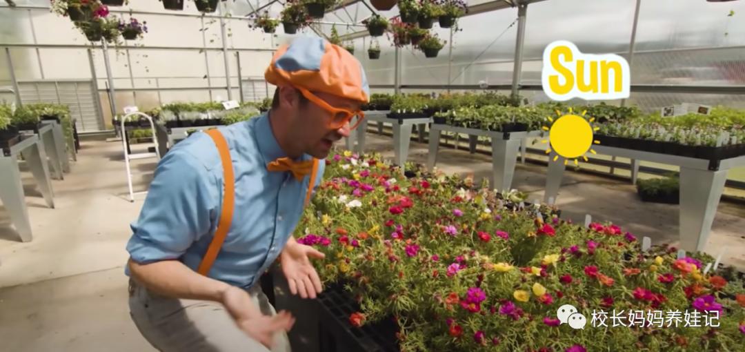 关于春天种植的英文儿歌,英文种植儿歌